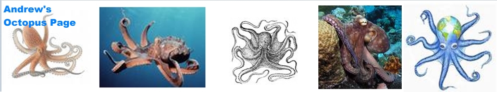 Andrew's Octopus Page
